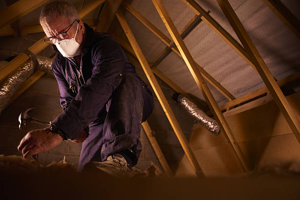 Best Specialty Insulation in Brilliant, OH